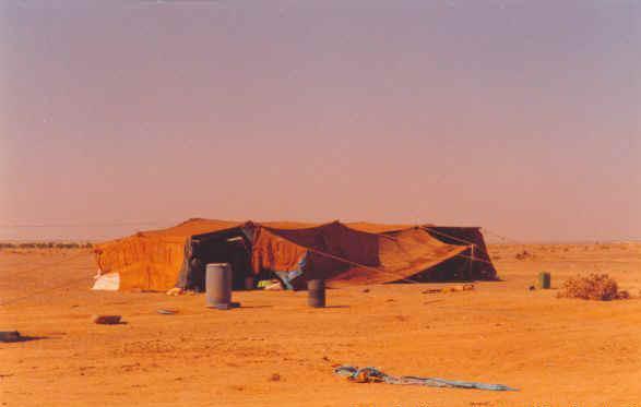 Бедуины палатки.jpg